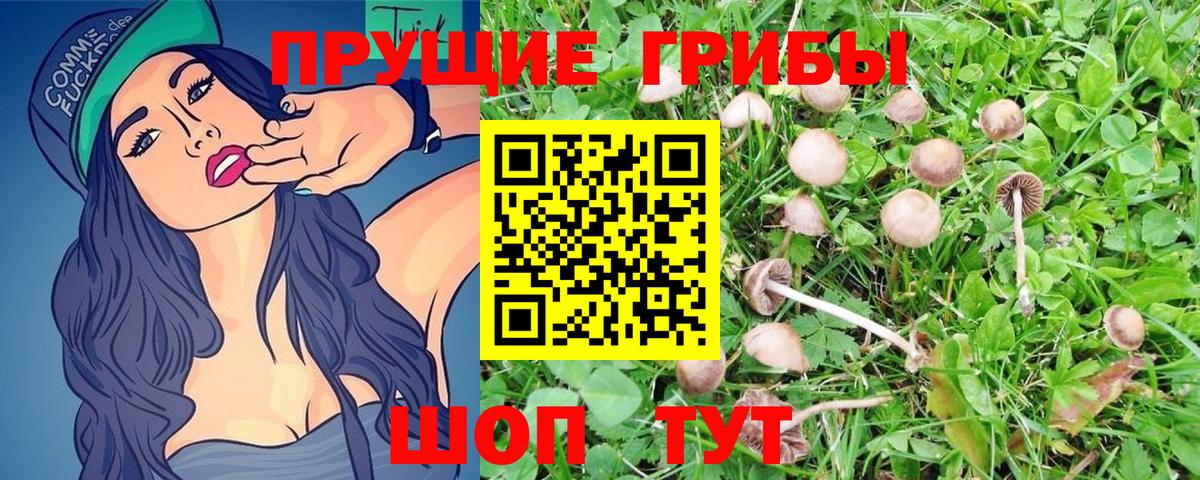сколько стоит  Вход с VPN  Новоалтайск  Псилоцибиновые грибы MAGIC MUSHROOMS 